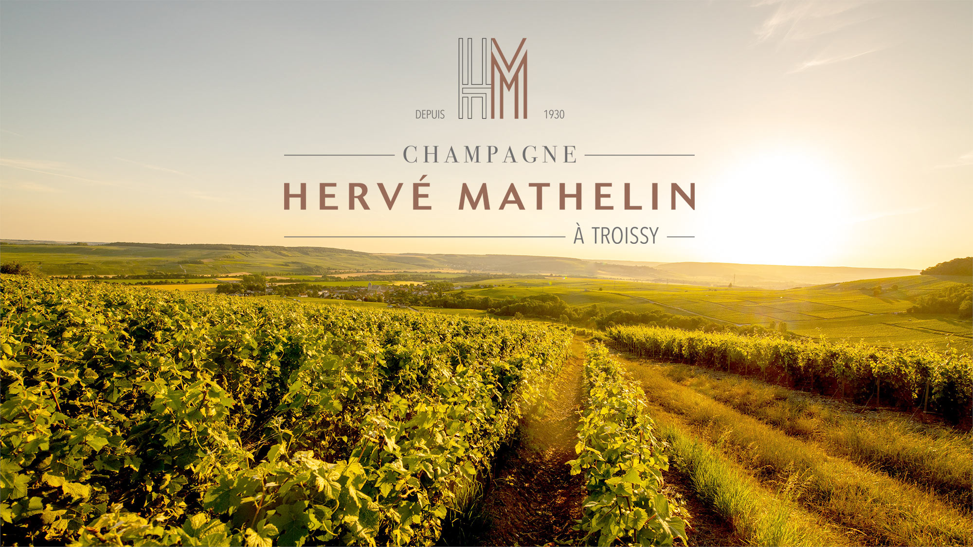 Champagne Hervé Mathelin